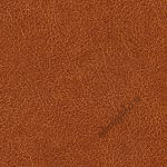 VP69011 - Cuirs leathers - ELITIS