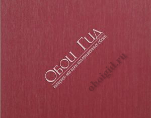 ILA317 - Illusions - OMEXCO